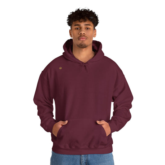 QI Hooded Sweatshirt - Maroon